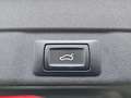 Audi A5 Avant TFSI S tronic Navi LED AHK 20-Zoll APS-Pl... Grau - thumbnail 15