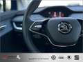 Skoda Sonstige Enyaq iV 50 AZN-Haus-FÖRDERUNG* Batt-ZERTIFIKAT Blau - thumbnail 19