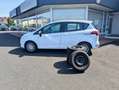 Ford B-Max 1.0 EcoBoost Trend Ford B-Max 1.0 EcoBoost Trend Weiß - thumbnail 16