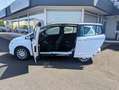 Ford B-Max 1.0 EcoBoost Trend Ford B-Max 1.0 EcoBoost Trend Weiß - thumbnail 7