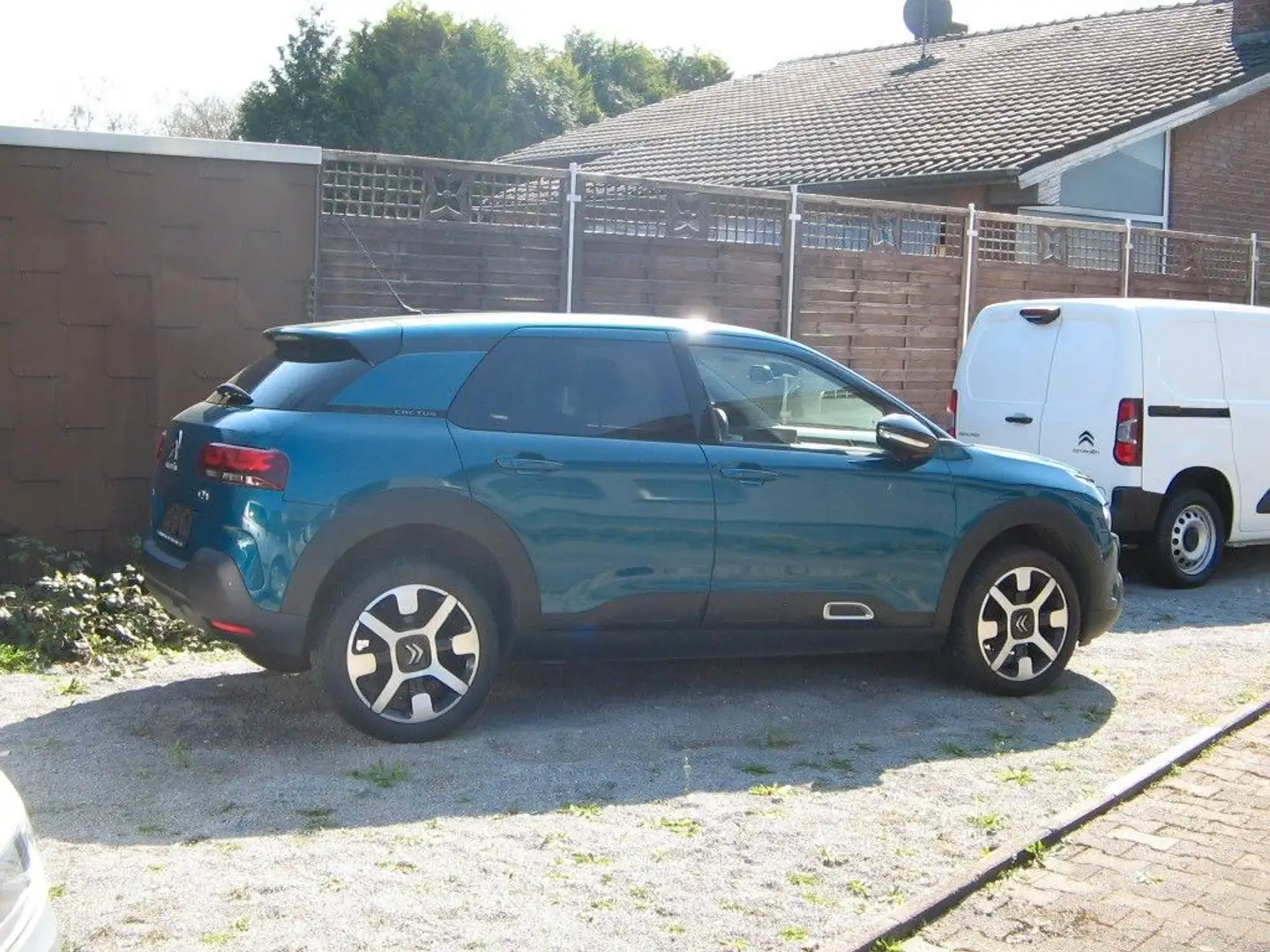 Citroen C4 Cactus Shine Blau - 2