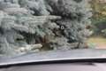 Audi Q7 3.0T Quattro Prestige/Luxury/Adaptive-chassis Pack Zilver - thumbnail 11