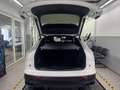 Audi SQ5 TDI quattro AHK HUD B&O °360 Pano Weiß - thumbnail 12