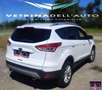 Ford Kuga 2.0 TDCI 150 CV S&S 4WD Titanium X Blanc - thumbnail 10