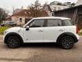 MINI Cooper D Countryman MINI Countryman COOPER D ALL4 Aut. COOPER Weiß - thumbnail 7