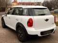 MINI Cooper D Countryman MINI Countryman COOPER D ALL4 Aut. COOPER Weiß - thumbnail 5