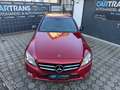 Mercedes-Benz C 220 Business Plus+LED+WIDESCREEN+LEDER+ 0%FINANZIERUNG Rouge - thumbnail 8