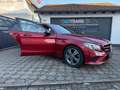 Mercedes-Benz C 220 Business Plus+LED+WIDESCREEN+LEDER+ 0%FINANZIERUNG Rouge - thumbnail 3