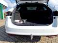 Skoda Superb Combi 2.0 TDI 4x4 DSG Sportline Matrix AHK Weiß - thumbnail 16