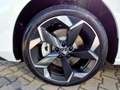 Skoda Superb Combi 2.0 TDI 4x4 DSG Sportline Matrix AHK Weiß - thumbnail 14
