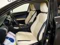 Lexus NX 300 300h Executive 4WD + Navibox Negru - thumbnail 10