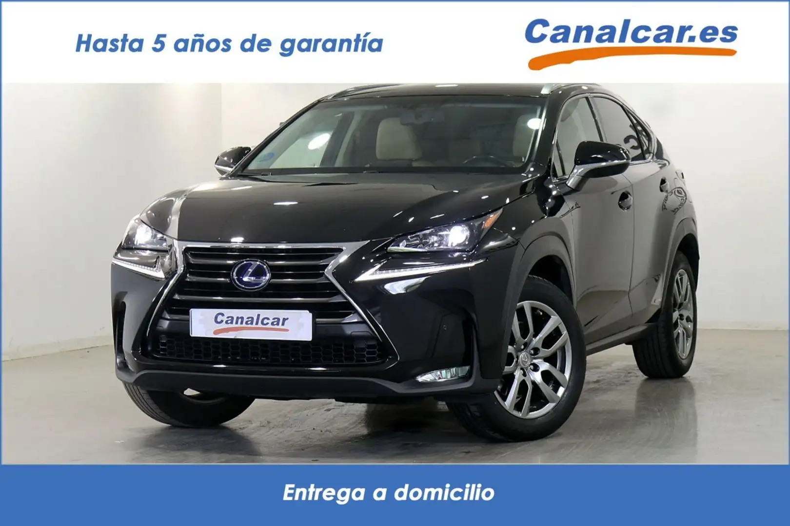Lexus NX 300 300h Executive 4WD + Navibox Negro - 1