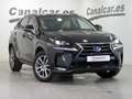 Lexus NX 300 300h Executive 4WD + Navibox Negru - thumbnail 3