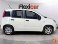 Fiat Panda Hybrid 1.0 Gse 51kw (70CV) Blanco - thumbnail 9