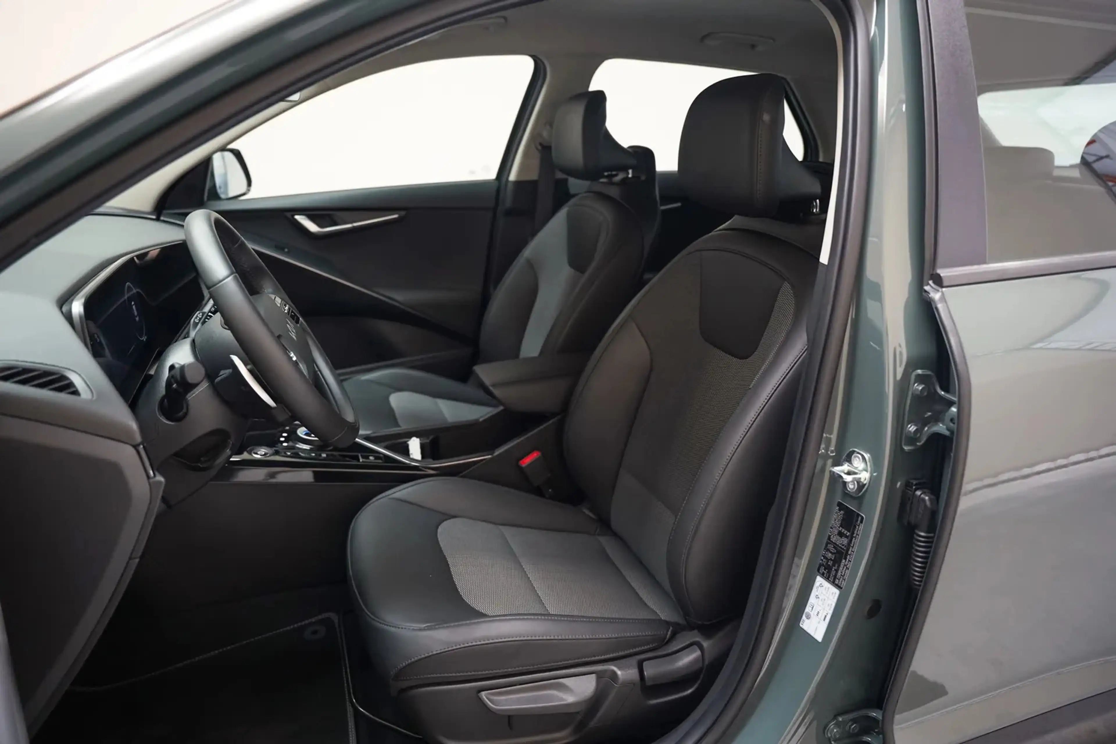 Kia e-Niro DynamicLine 64.8 kWh [ Adapt.cruise Camera Stoelve — photo 10