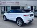 Land Rover Range Rover Evoque SE Dynamic 2.0/Pano/Kamera Weiß - thumbnail 4