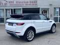 Land Rover Range Rover Evoque SE Dynamic 2.0/Pano/Kamera Weiß - thumbnail 6