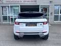 Land Rover Range Rover Evoque SE Dynamic 2.0/Pano/Kamera Weiß - thumbnail 5