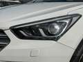 Hyundai SANTA FE blue Premium 4WD*ACC*NAVI*MEMORY*AHK* Weiß - thumbnail 44