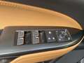 Lexus NX 300 Hybrid Luxury 4WD Grau - thumbnail 22