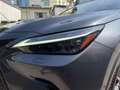 Lexus NX 300 Hybrid Luxury 4WD Grau - thumbnail 14