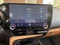 Lexus NX 300 Hybrid Luxury 4WD Grau - thumbnail 23