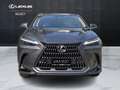Lexus NX 300 Hybrid Luxury 4WD Grau - thumbnail 13