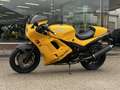 Triumph Daytona Super Three Geel - thumbnail 2