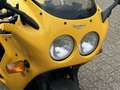 Triumph Daytona Super Three Geel - thumbnail 15