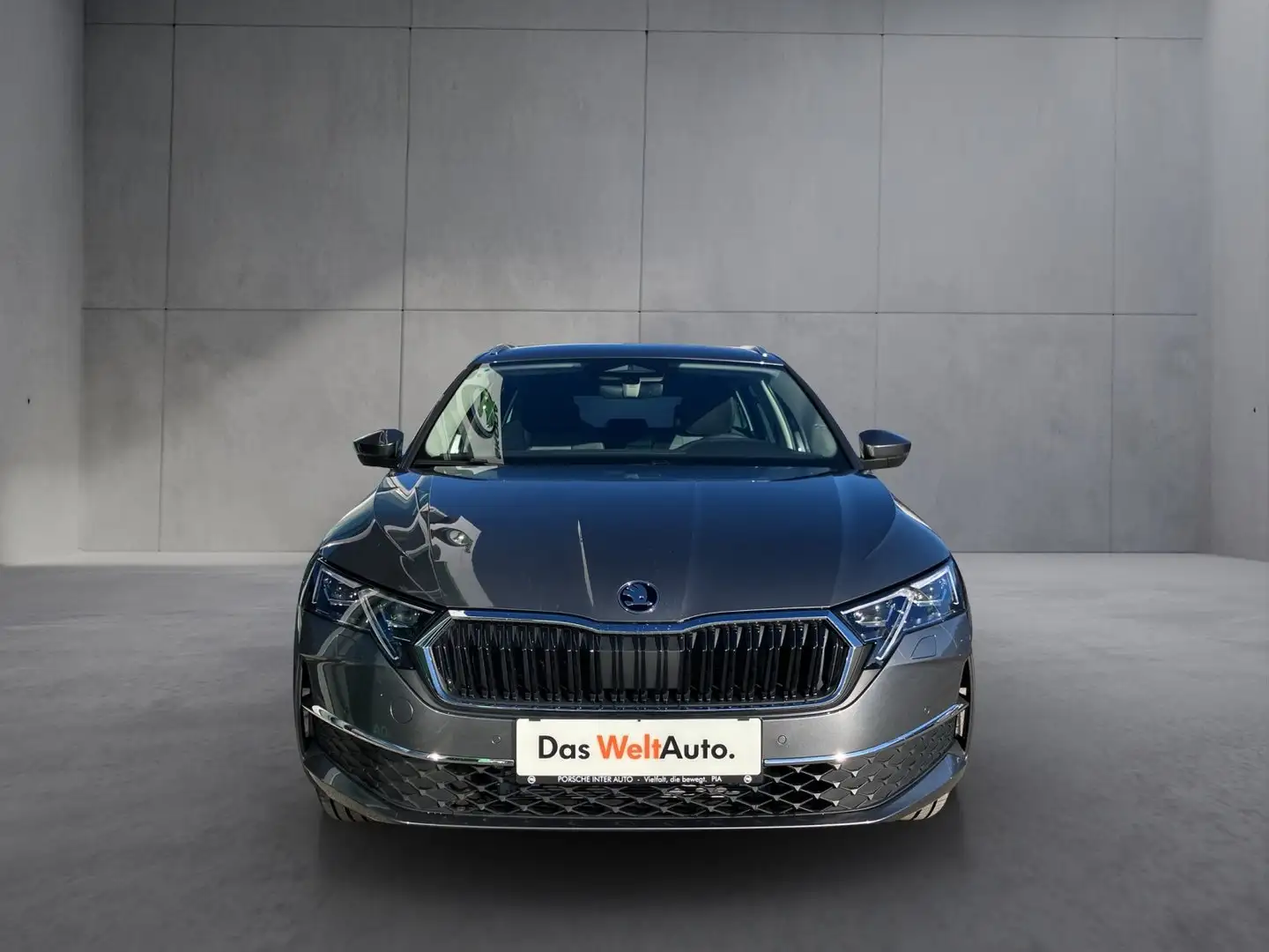 Skoda Octavia Selection TDI DSG Grau - 2