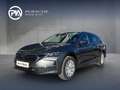 Skoda Octavia Selection TDI DSG Grau - thumbnail 1
