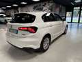 Fiat Tipo Tipo 5p 1.4 Easy 95cv my17 Bianco - thumbnail 6