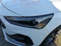 Ford Focus Turnier 2.3 EcoB. ST X Navi,iACC,Kamera Weiß - thumbnail 9