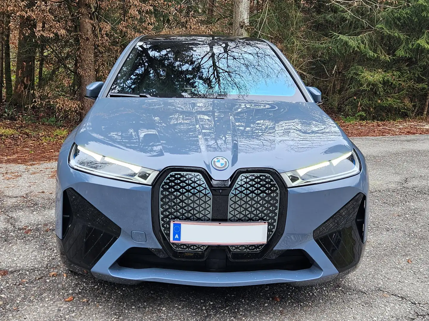 BMW iX iX xDrive50 105kWh *neue WR* *8fach bereift* Grau - 1
