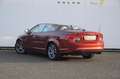 Volvo C70 Convertible T5 230PK Automaat Summum / Dealer onde Rojo - thumbnail 6