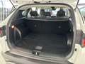 Hyundai TUCSON 1.6 TGDI 48V Maxx 4x2 Bianco - thumbnail 10