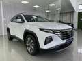 Hyundai TUCSON 1.6 TGDI 48V Maxx 4x2 Bianco - thumbnail 5