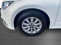 SEAT Ibiza 1.0 TSI Style Klima Sitzheizung PDC hinten Bianco - thumbnail 8