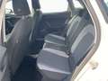 SEAT Ibiza 1.0 TSI Style Klima Sitzheizung PDC hinten Bianco - thumbnail 14