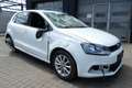 Volkswagen Polo 1.0 TSI Lounge BMT Start-Stopp PDC Klima CD Blanc - thumbnail 9