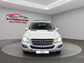 Mercedes-Benz ML 300 CDI BlueE*FACELIFT*SHD*NAVI*XEN*AHK*LEDER Silber - thumbnail 5