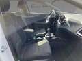 Kia Ceed / cee'd Vision 1.0 Navi CarPlay Kamera SitzHzg. Wit - thumbnail 10