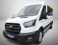 Ford Transit 330 L3 Trend 9-Sitzer ACC Apple Totwinkel Standh. Bianco - thumbnail 12