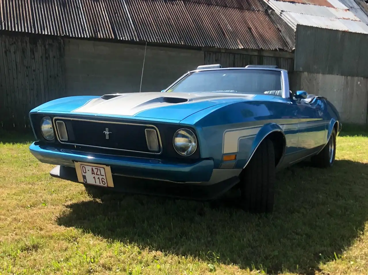 Ford Mustang mach 1, foto 3