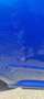 Toyota Aygo CoolBlue Blau - thumbnail 11