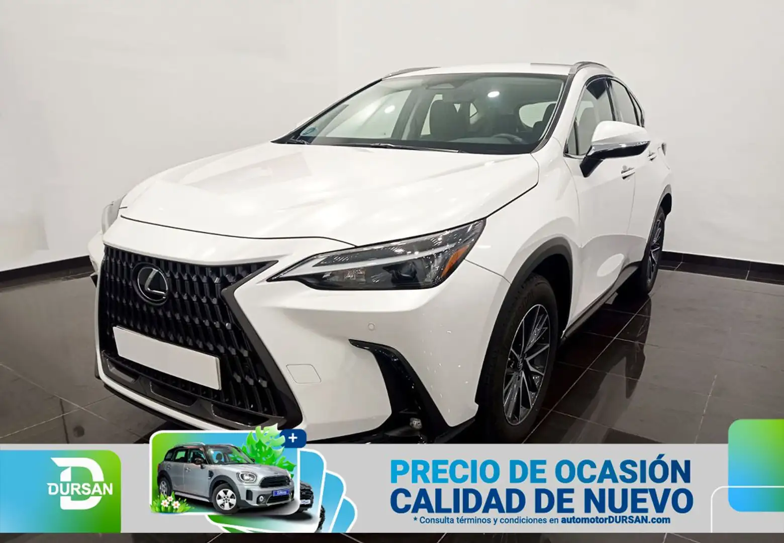 Lexus NX 350h Business City 4WD Blanco - 1