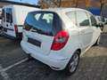 Mercedes-Benz A 170 A-Klasse  5-Türer Avantgarde Weiß - thumbnail 4
