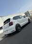 Volkswagen Polo 1..2TSI BMT Bluemotion 70kW - thumbnail 1