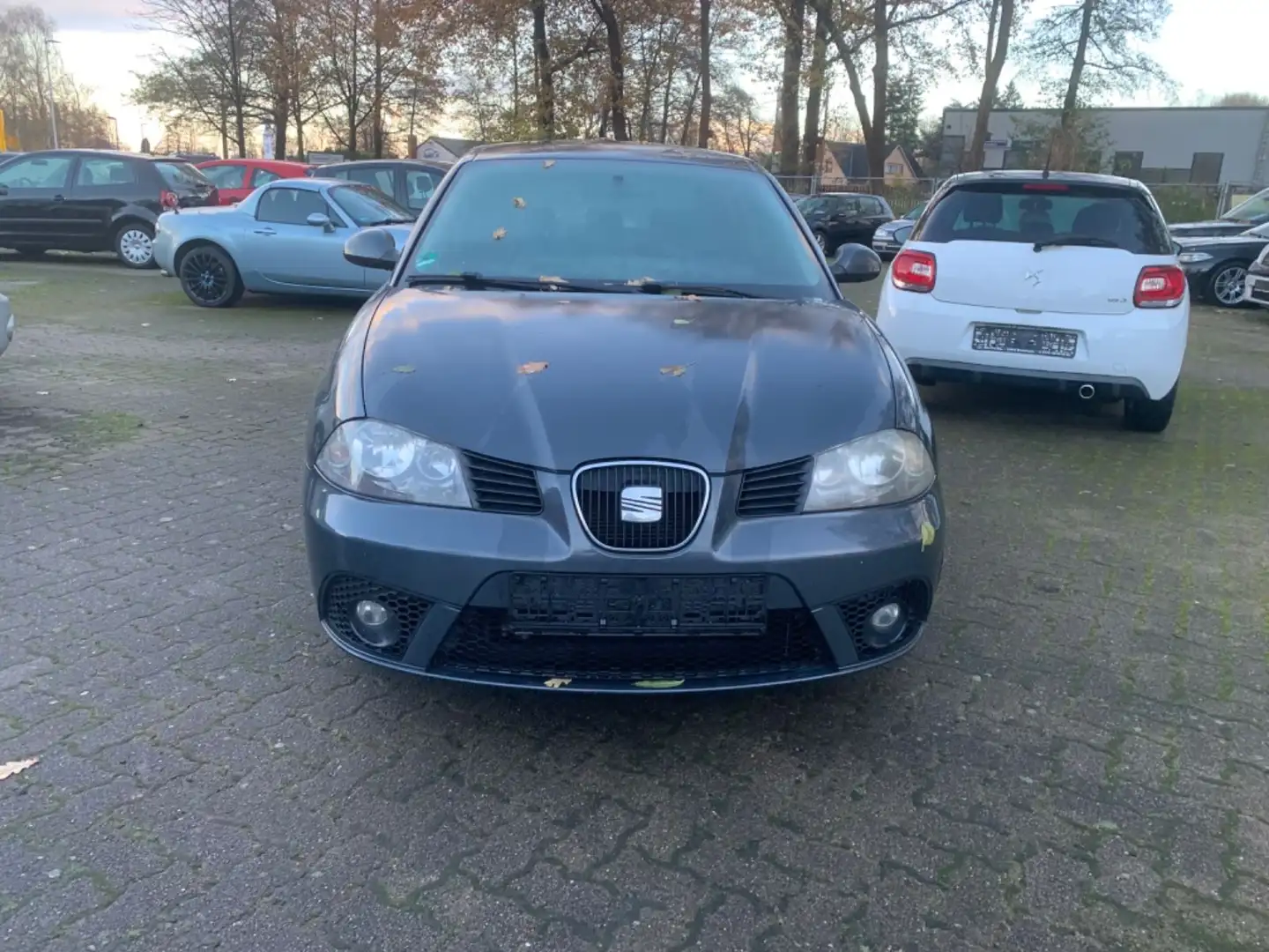 SEAT Ibiza Comfort Edition - 1