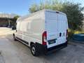 Fiat Ducato 290 35 2021 35 LH2 2.2 mjt3 140cv serie 9 Bianco - thumbnail 12
